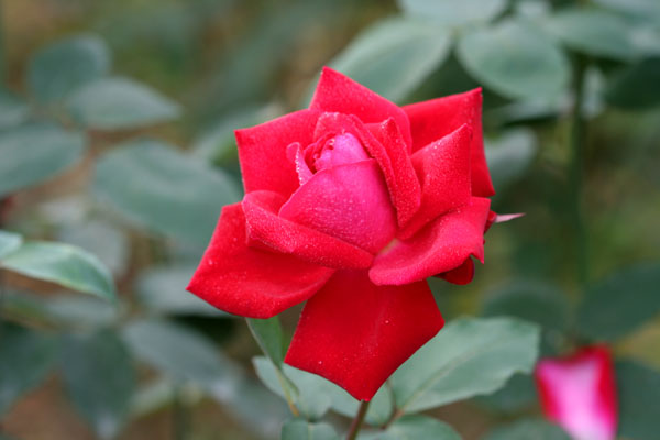 �¼���������ʯ���06.10.20