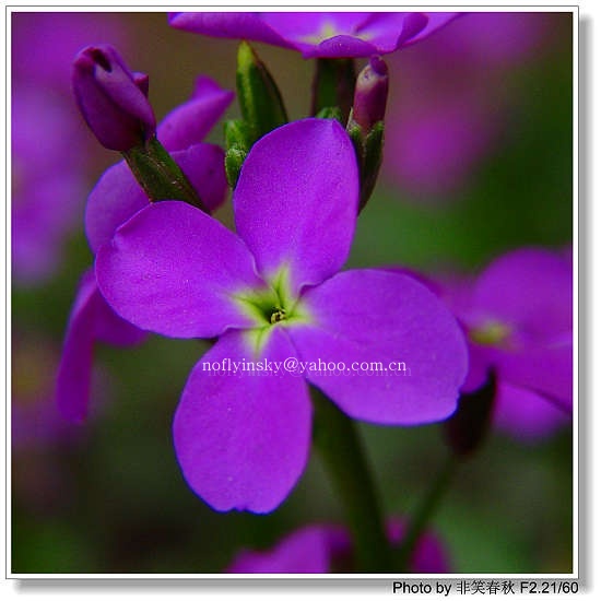 ��ҿ���׬ȡ֮������ƪ