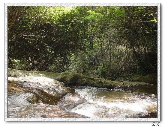 ��ɢ�Լ�������