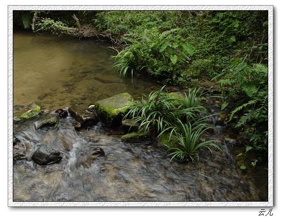 ��ɢ�Լ�������