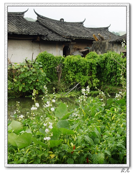 ��ɢ�Լ�������