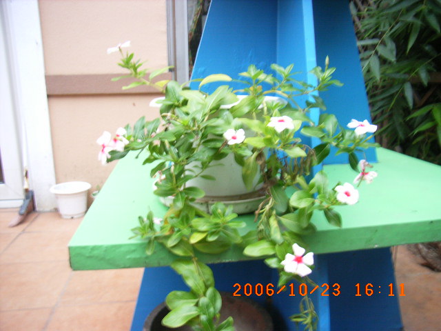 ѧ���輯˼����,DIYСԺ��