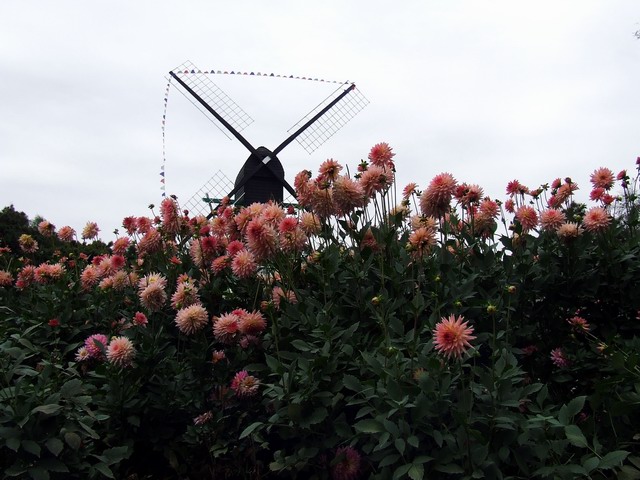 [ԭ��]������԰��--�ջ��������㣬������