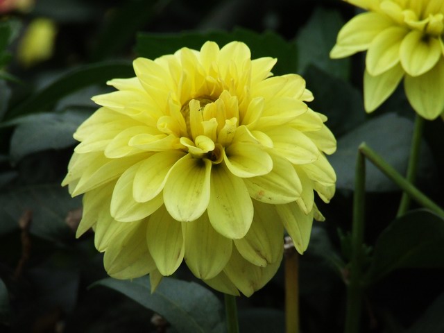 [ԭ��]������԰��--�ջ��������㣬������