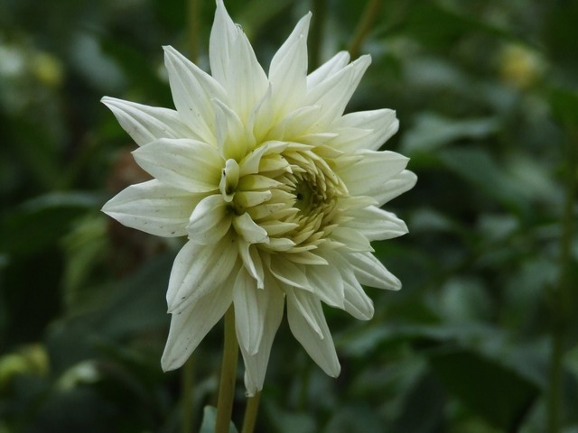 [ԭ��]������԰��--�ջ��������㣬������