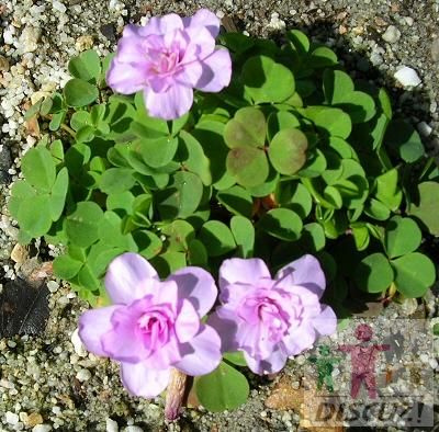 �Ŷ�!��ե���ݶ�!