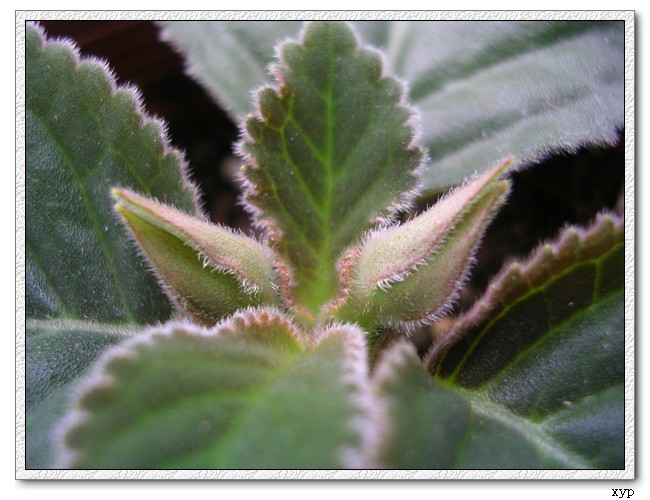 K��������ͩ�л���������