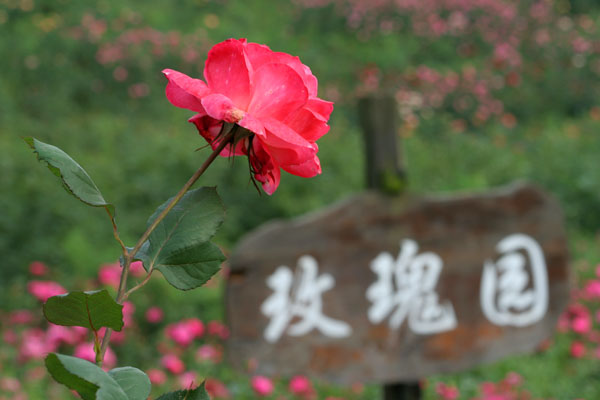 �¼���������ʯ���06.10.20