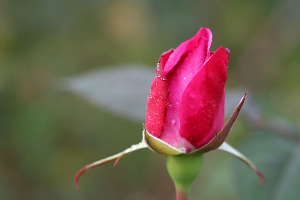 �¼���������ʯ���06.10.20