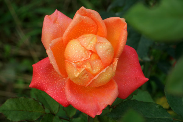 �¼���������ʯ���06.10.20
