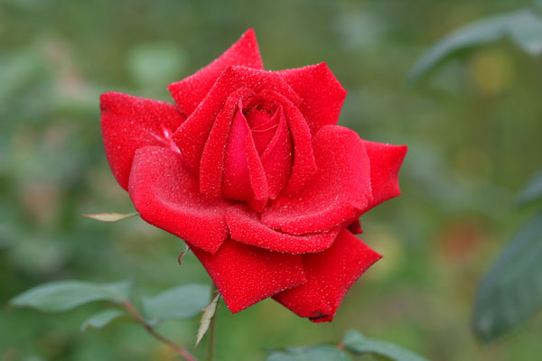 �¼���������ʯ���06.10.20