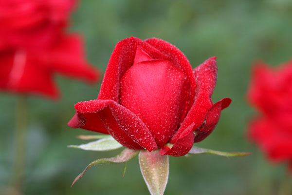 �¼���������ʯ���06.10.20