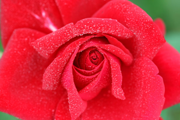 �¼���������ʯ���06.10.20