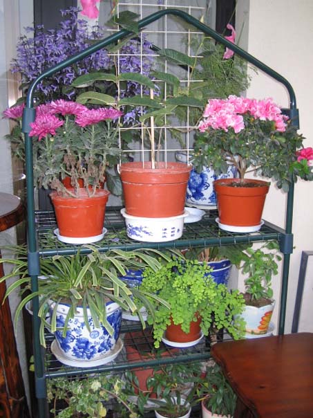 [��ͼ]��̨�����㱨(��������PP--����PP��P6/7)