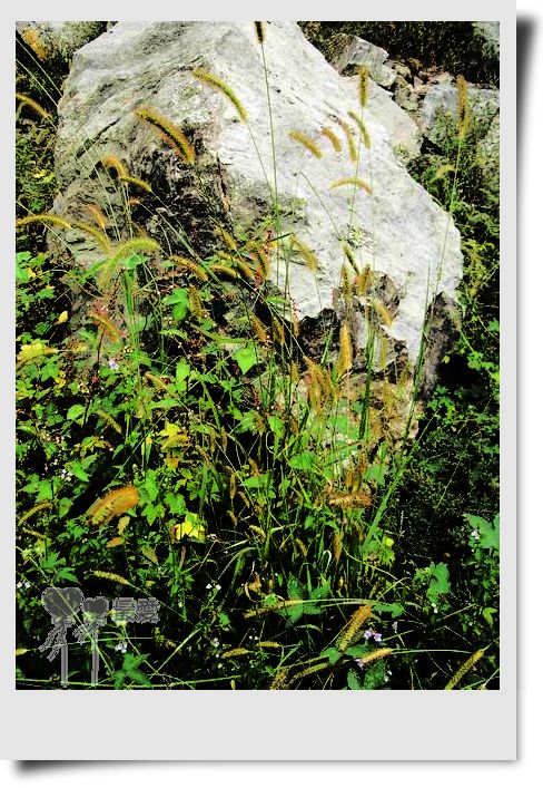 �Ұ�...���ڿ���ɽ�������·��