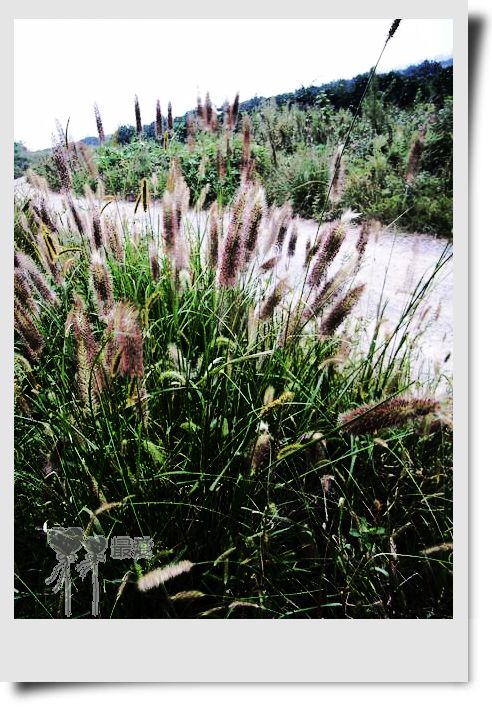 �Ұ�...���ڿ���ɽ�������·��