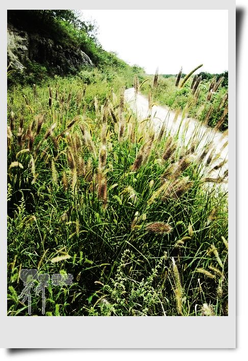 �Ұ�...���ڿ���ɽ�������·��