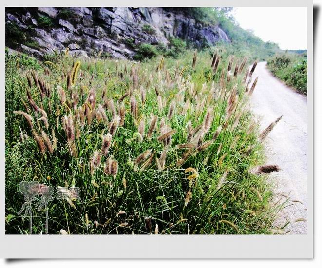 �Ұ�...���ڿ���ɽ�������·��