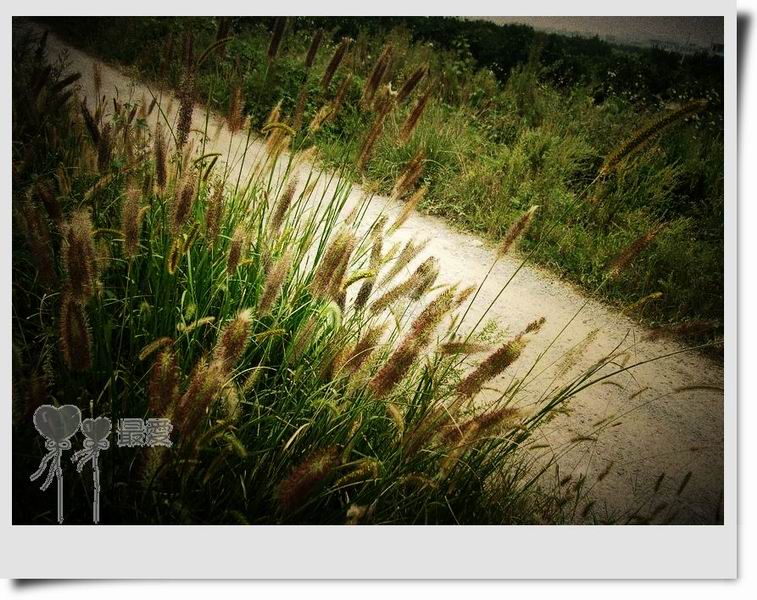 �Ұ�...���ڿ���ɽ�������·��