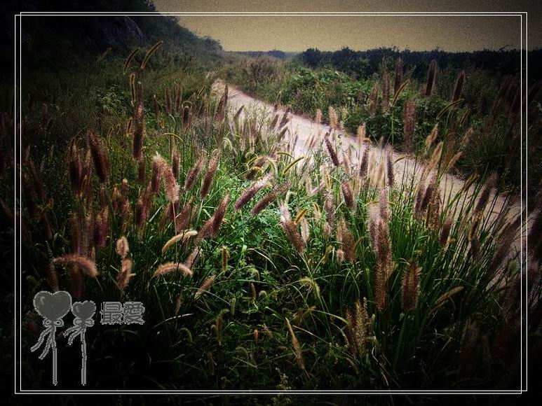 �Ұ�...���ڿ���ɽ�������·��