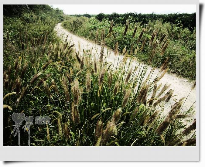 �Ұ�...���ڿ���ɽ�������·��