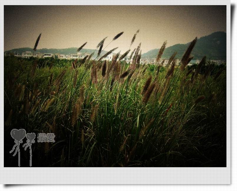 �Ұ�...���ڿ���ɽ�������·��