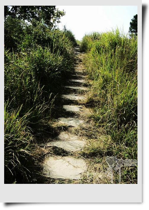 �Ұ�...���ڿ���ɽ�������·��