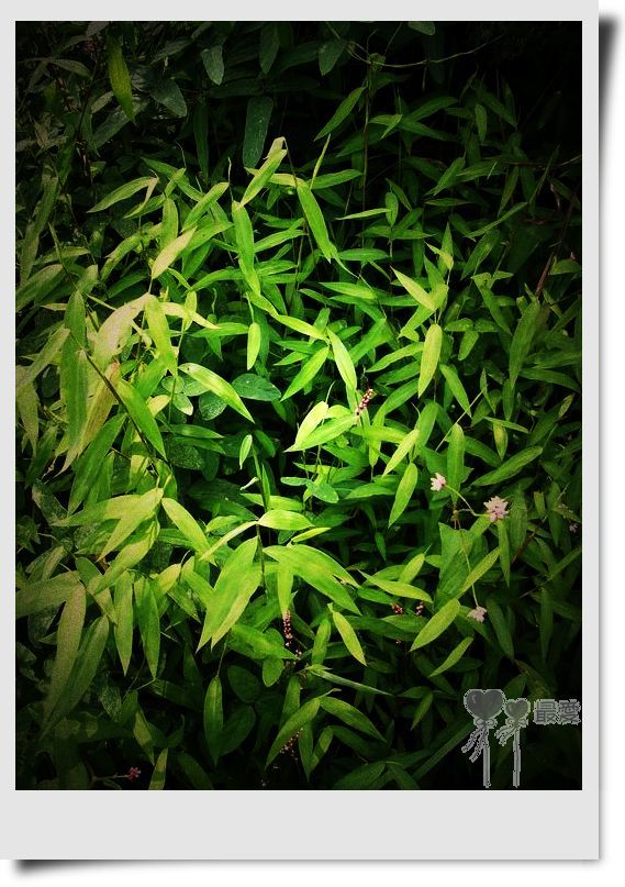 �Ұ�...���ڿ���ɽ�������·��