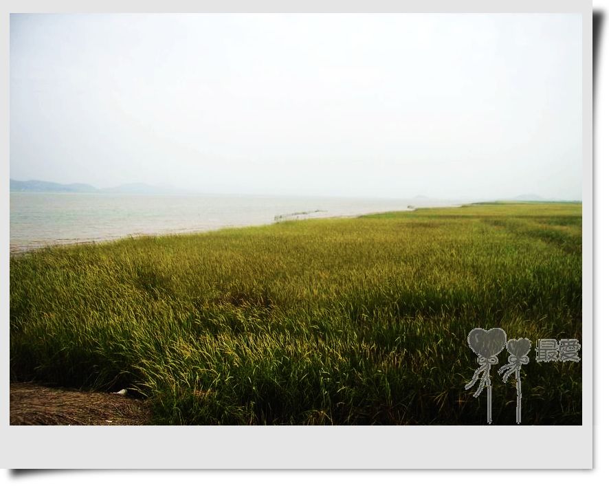 �Ұ�...���ڿ���ɽ�������·��