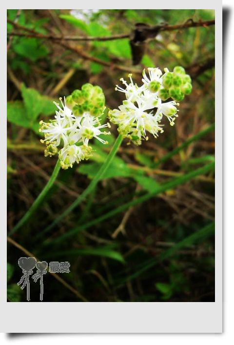 �Ұ�...���ڿ���ɽ�������·��