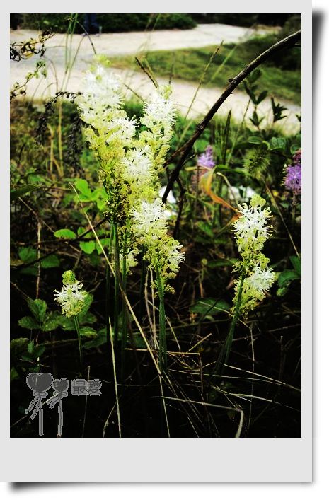 �Ұ�...���ڿ���ɽ�������·��