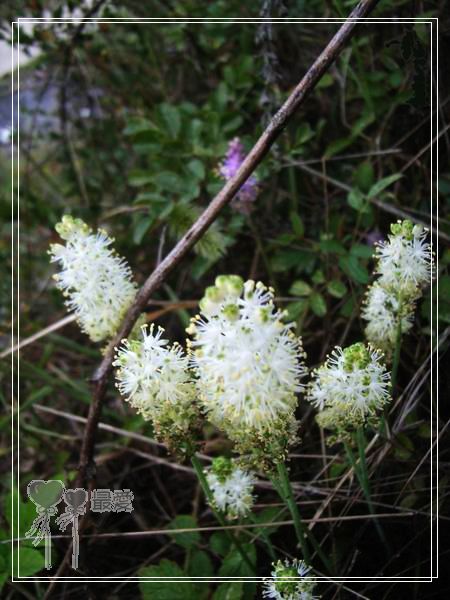 �Ұ�...���ڿ���ɽ�������·��