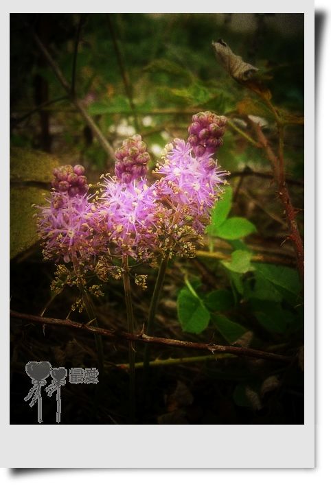 �Ұ�...���ڿ���ɽ�������·��