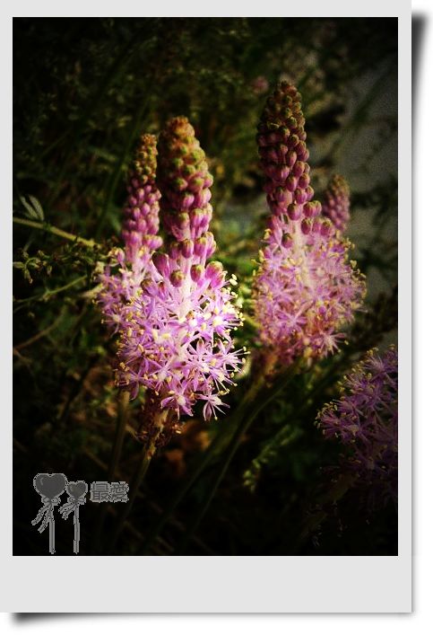 �Ұ�...���ڿ���ɽ�������·��