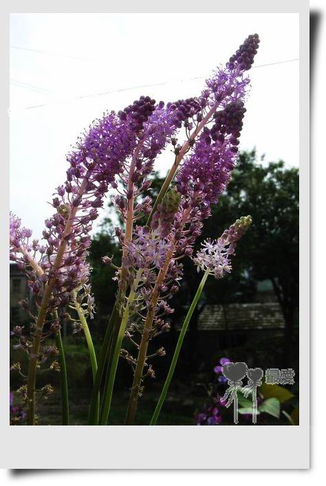 �Ұ�...���ڿ���ɽ�������·��