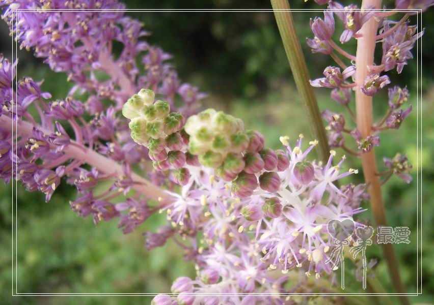 �Ұ�...���ڿ���ɽ�������·��