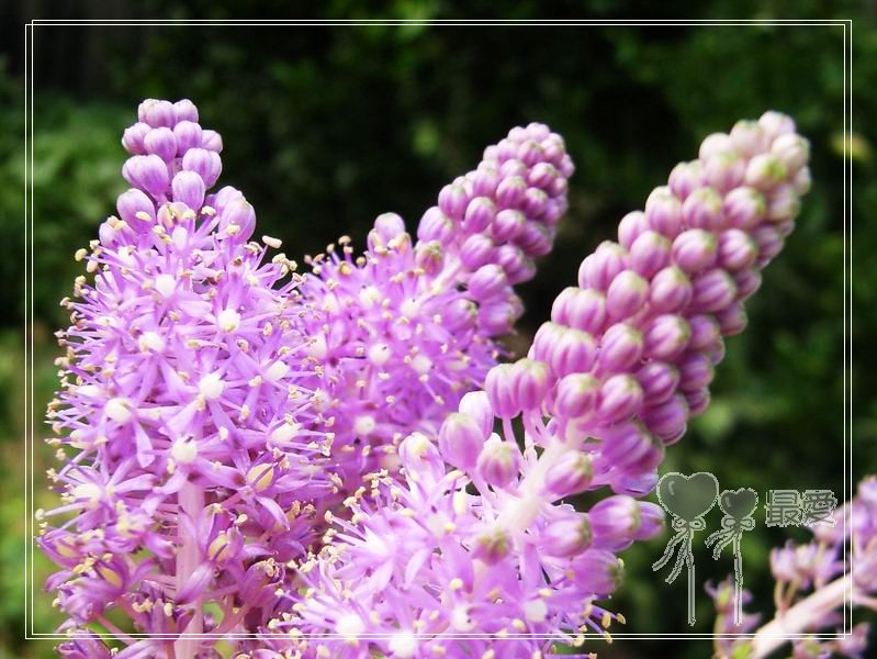 �Ұ�...���ڿ���ɽ�������·��