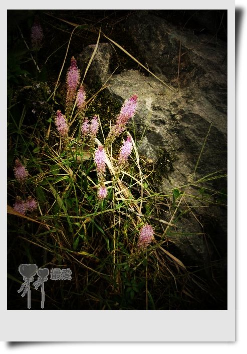 �Ұ�...���ڿ���ɽ�������·��