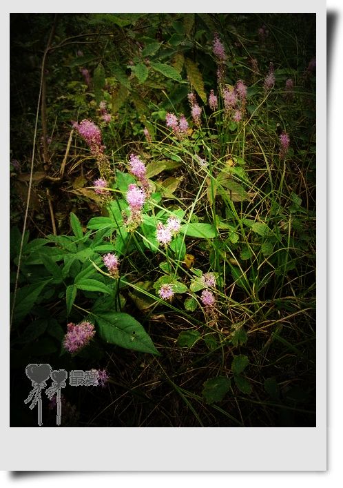 �Ұ�...���ڿ���ɽ�������·��