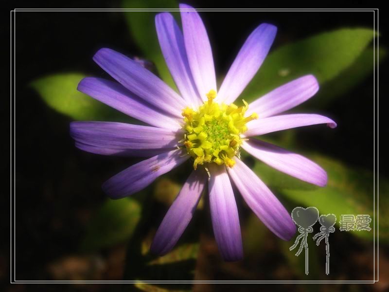 �Ұ�...���ڿ���ɽ�������·��