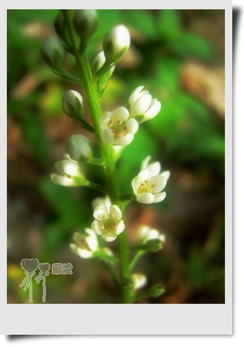 �Ұ�...���ڿ���ɽ�������·��