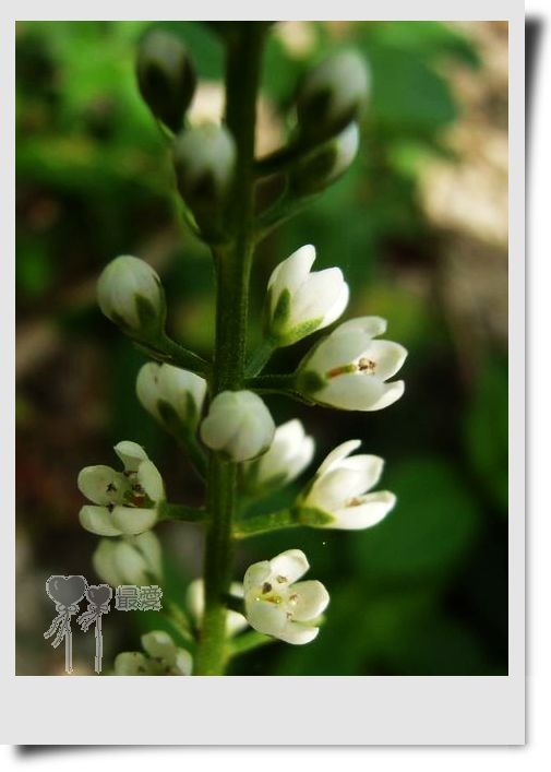 �Ұ�...���ڿ���ɽ�������·��