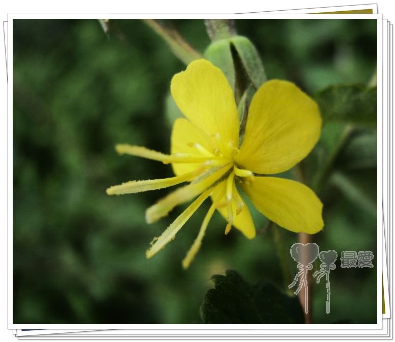 �Ұ�...���ڿ���ɽ�������·��