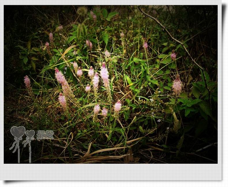 �Ұ�...���ڿ���ɽ�������·��