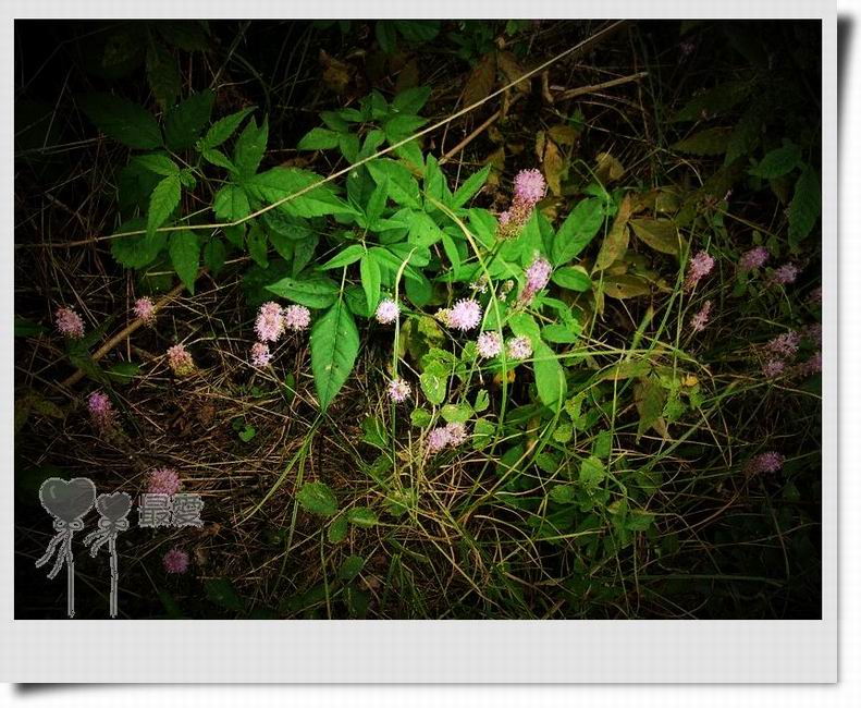 �Ұ�...���ڿ���ɽ�������·��