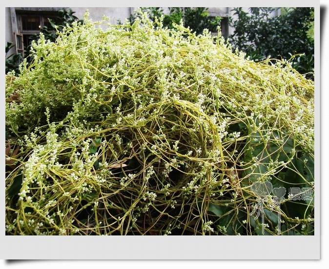 �Ұ�...���ڿ���ɽ�������·��