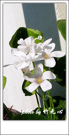 ����Ļ���~P8,�׻�������..