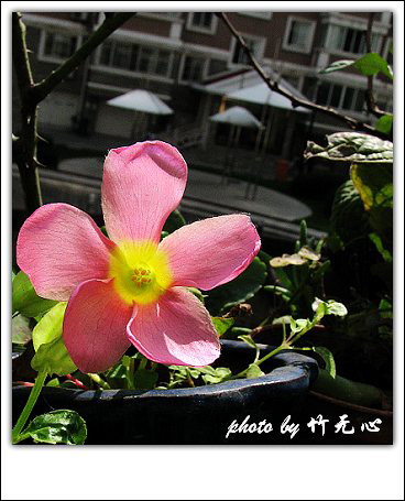 ����Ļ���~P8,�׻�������..