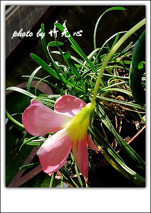 ����Ļ���~P8,�׻�������..