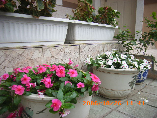 ѧ���輯˼����,DIYСԺ��